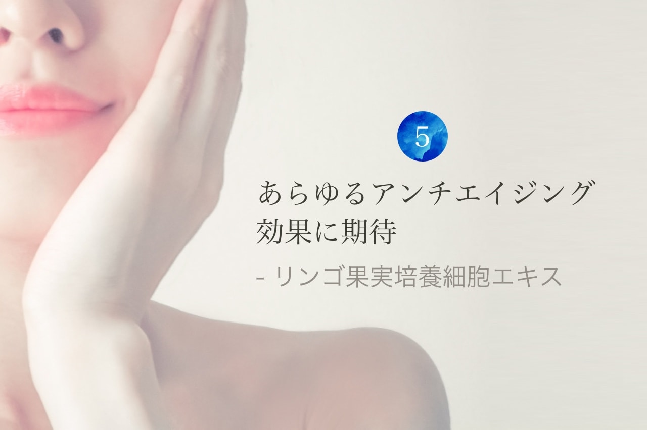 (5)あらゆるアンチエイジング効果に期待 - リンゴ果実培養細胞エキス